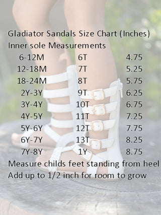 Teal Blue Gladiators- RTS