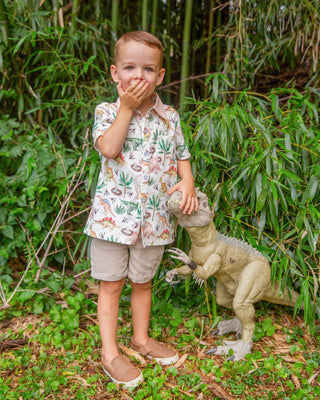 Dino Adventure Boy Shirt **Pre-Order ETA end of September*