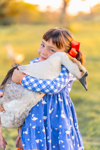 Little Goose Cottage Twirl Dress**Pre-order ETA early November**