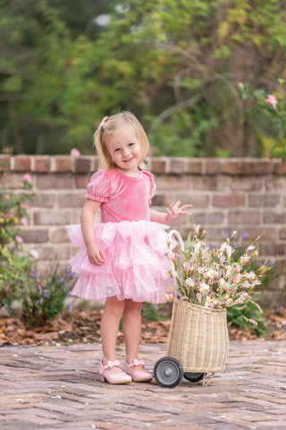 Starbright Velvet Tulle Dress Set