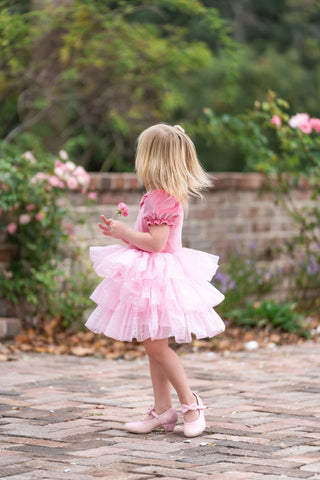 Starbright Velvet Tulle Dress Set