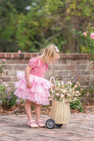 Starbright Velvet Tulle Dress Set