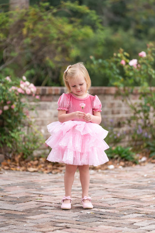 Starbright Velvet Tulle Dress Set