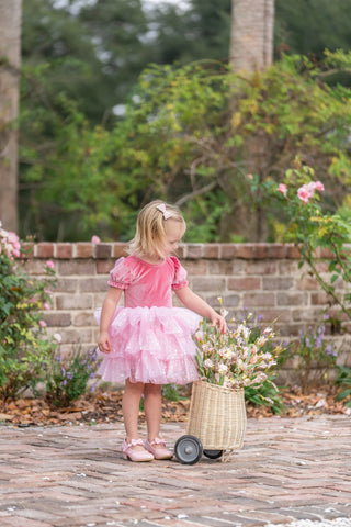 Starbright Velvet Tulle Dress Set