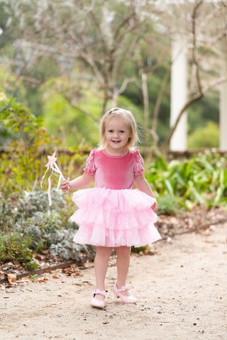 Starbright Velvet Tulle Dress Set