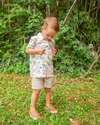 Dino Adventure Boy Shirt **Pre-Order ETA end of September*