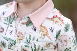 Dino Adventure Boy Shirt **Pre-Order ETA end of September*