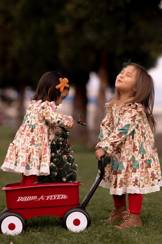 Christmas Wishes Twirl dress
